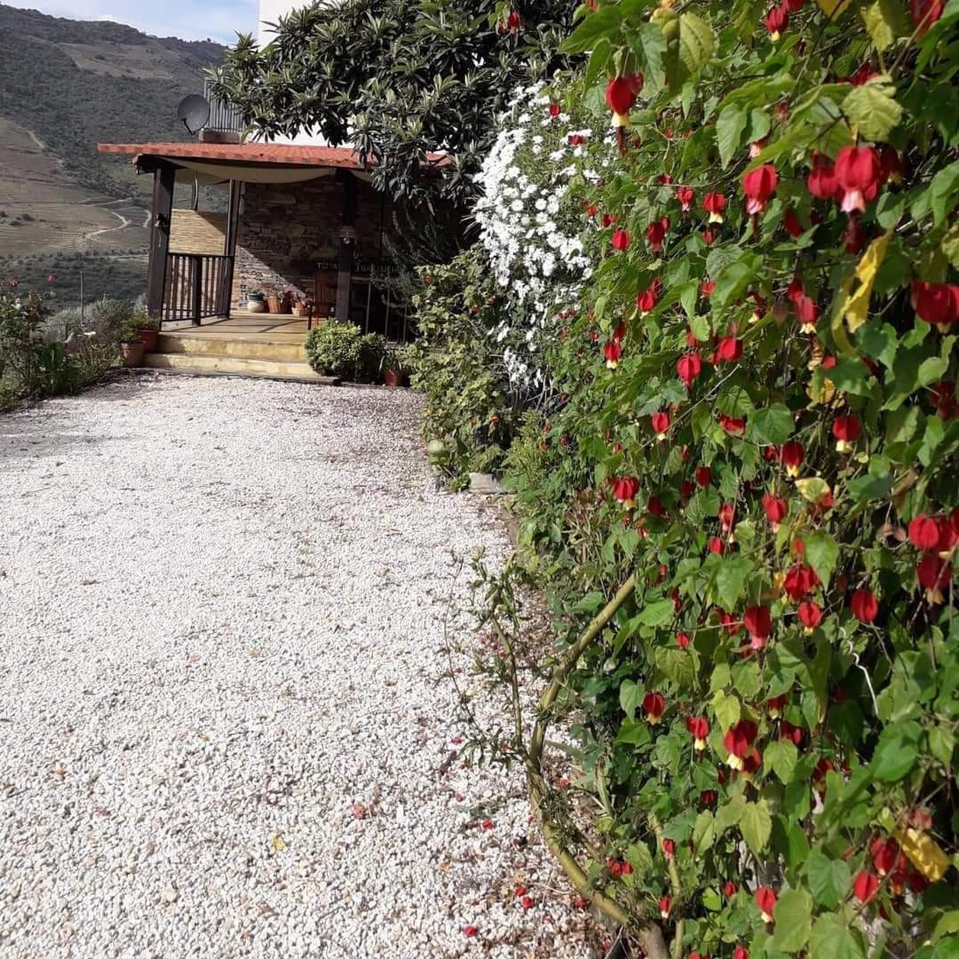 Tomas Barqueiro Hotel Folgosa  Exterior photo